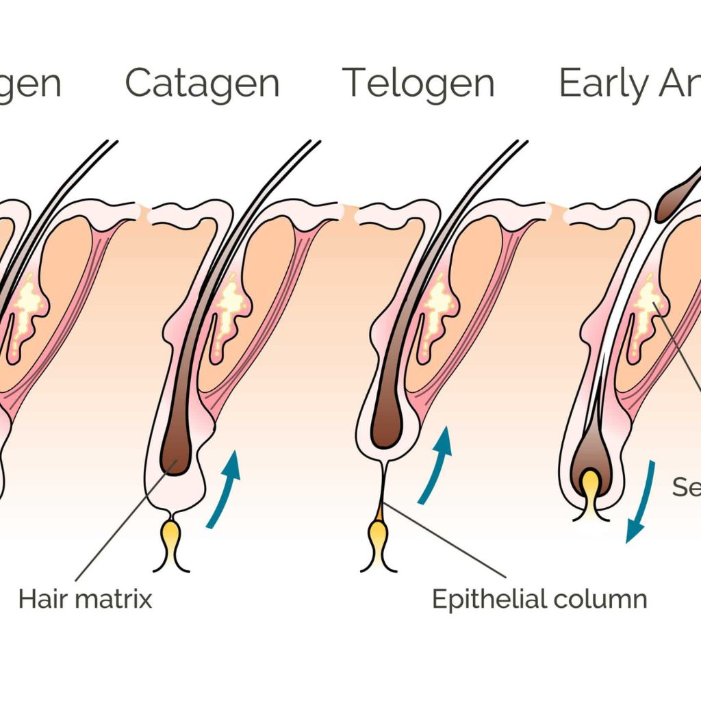 Does Microcurrent Really Help Hair Grow? Unveiling the Science Behind It